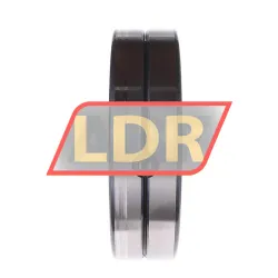 INA SL014844-A rulman resim 2