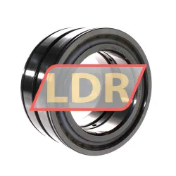 INA SL045022-D-PP-C3