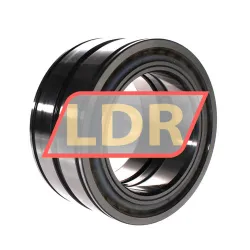 INA SL045022-D-PP-C3 rulman resim 3