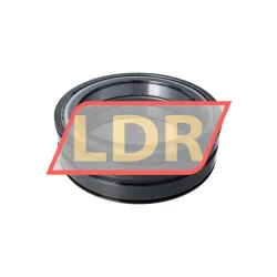 INA SL04190-D-PP