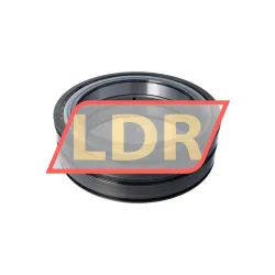 INA SL04190-D-PP rulman resim 2