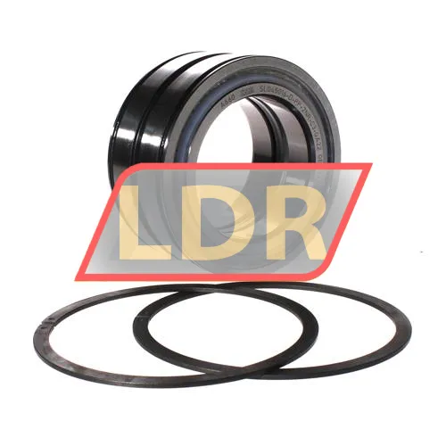 INA SL045016-D-PP-2NR-C3-GA22
