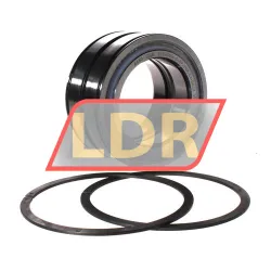 INA SL045016-D-PP-2NR-C3-GA22