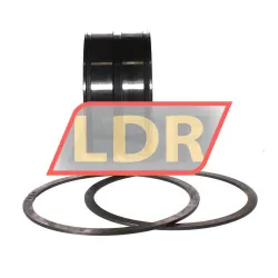 INA SL045016-D-PP-2NR-C3-GA22 rulman resim 2