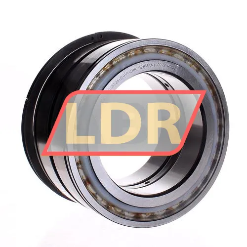 INA SL045026-D-PP-2NR