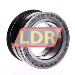 INA SL045026-D-PP-2NR