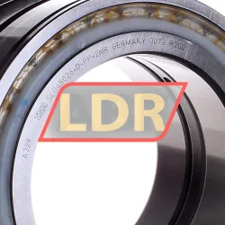 INA SL045026-D-PP-2NR rulman resim 2