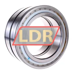 INA SL045032-D-PP