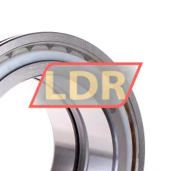 INA SL045032-D-PP rulman resim 2