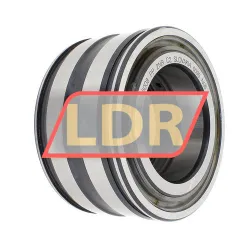 INA SL045008-PP-2NR-C2