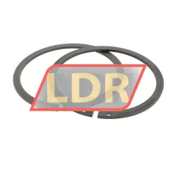INA SL045008-PP-2NR-C2 rulman resim 2