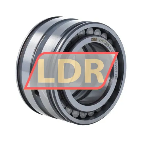 INA SL045008-C4
