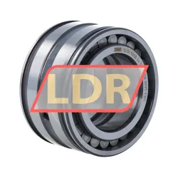 INA SL045008-C4