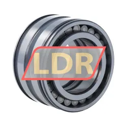 INA SL045008-C4 rulman resim 2