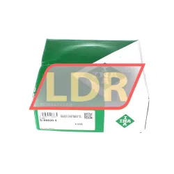 INA SL06020-E rulman resim 2