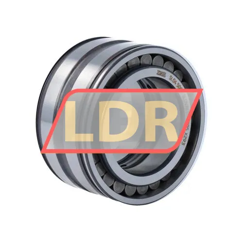 INA SL045009