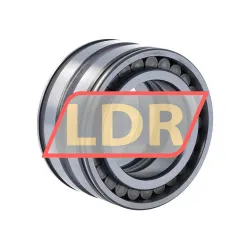 INA SL045009 rulman resim 2