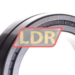 INA SL014920-A rulman resim 2