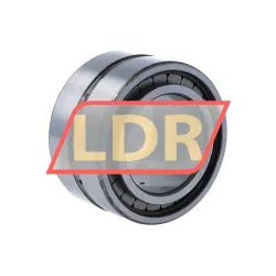 INA SL185009-A rulman resim 2