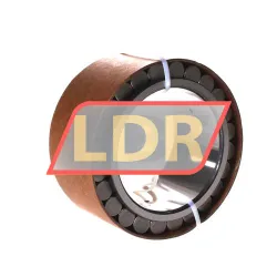 INA RSL185017-A rulman resim 2