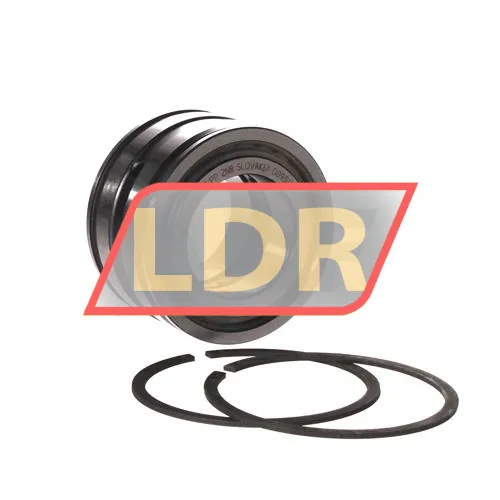 INA SL045007-PP-2NR