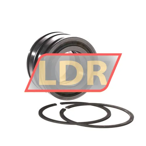 INA SL045007-PP-2NR ürün fotoğrafı 3