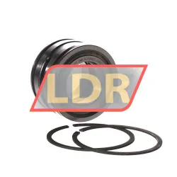 INA SL045007-PP-2NR