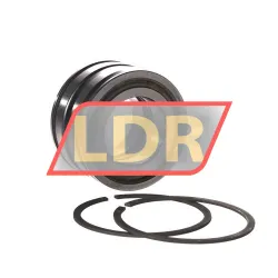 INA SL045007-PP-2NR rulman resim 3