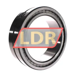 INA SL014930-A rulman resim 3