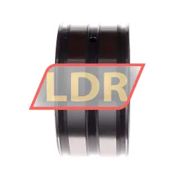 INA SL045011 rulman resim 2