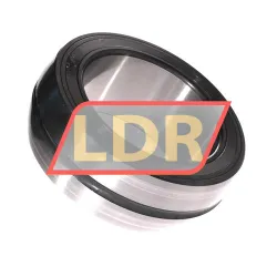 INA SL06024-E-C3 rulman resim 2