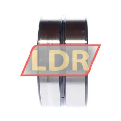 INA SL185018-A-C3 rulman resim 2