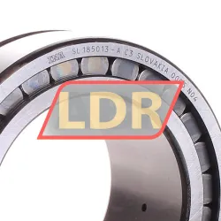 INA SL185013-A-C3 rulman resim 2