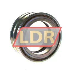 INA SL045020-D-PP-RR