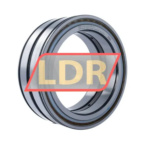 INA SL04160-D-PP-C3
