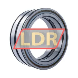 INA SL04160-D-PP-C3