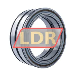 INA SL04160-D-PP-C3 rulman resim 2
