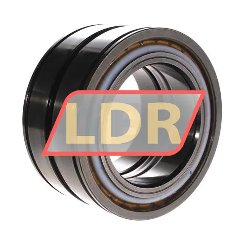 INA SL04100-D-PP ürün fotoğrafı 3