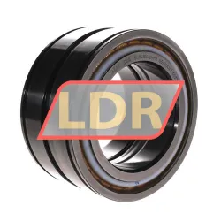 INA SL04100-D-PP