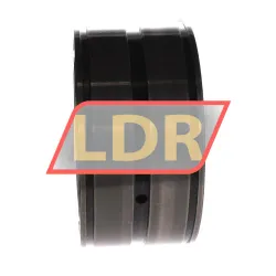 INA SL04100-D-PP rulman resim 2