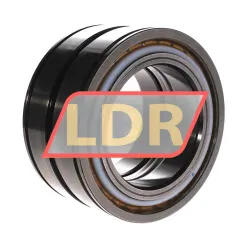 INA SL04100-D-PP rulman resim 3