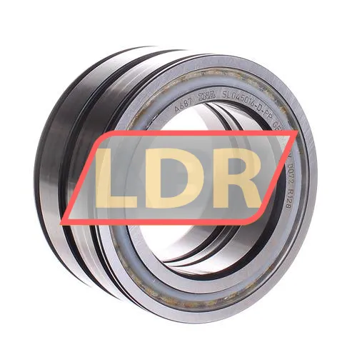 INA SL045016-D-PP