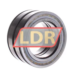 INA SL045016-D-PP