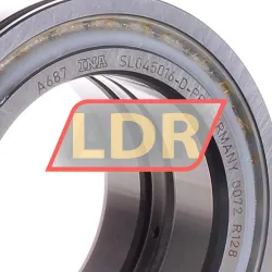 INA SL045016-D-PP rulman resim 2