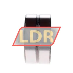 INA SL185010-A-C3-2S rulman resim 2