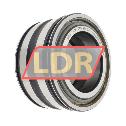 INA SL045009-PP-C3