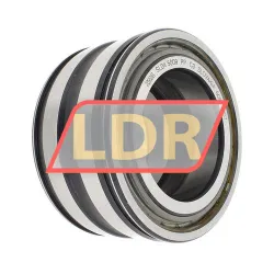 INA SL045009-PP-C3