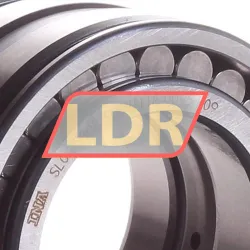 INA SL045008 rulman resim 2
