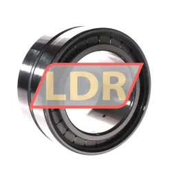 INA SL185018-A rulman resim 3
