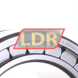 INA SL185022-A rulman resim 2
